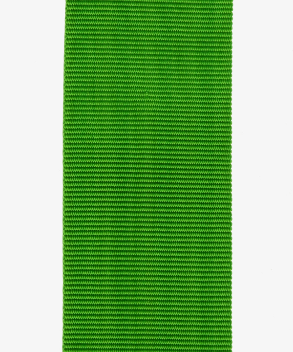 Anhalt-Köthen, Military Service Award (223)